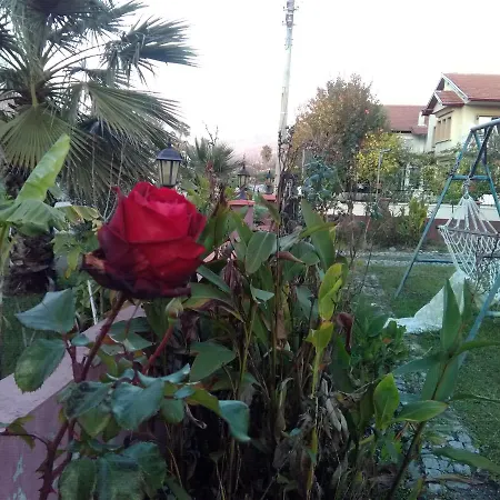 Villa Balım *